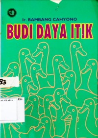 Image of Budi Daya Itik